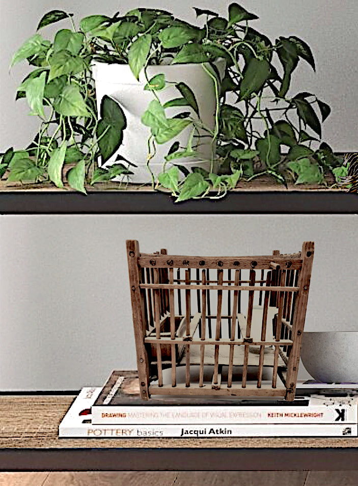 Coal Miner's Canary Cage