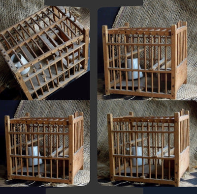 Coal Miner's Canary Cage